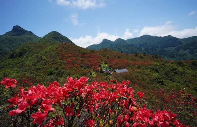 春争日 夏争时