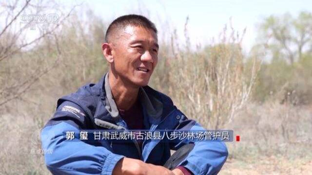 焦点访谈丨在沙漠、在高原 这群劳动者值得被看见