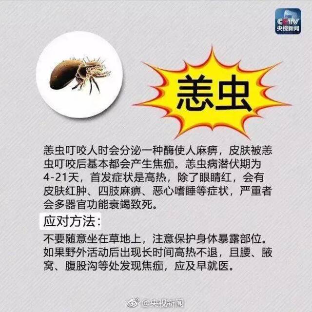 剧毒！有致命危险！已入侵12个省份，成都曾有人被咬，发现立即上报