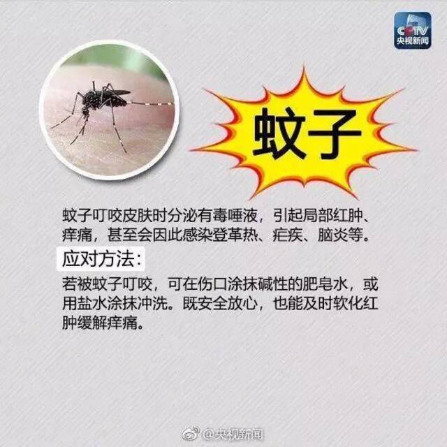 剧毒！有致命危险！已入侵12个省份，成都曾有人被咬，发现立即上报