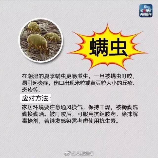 剧毒！有致命危险！已入侵12个省份，成都曾有人被咬，发现立即上报