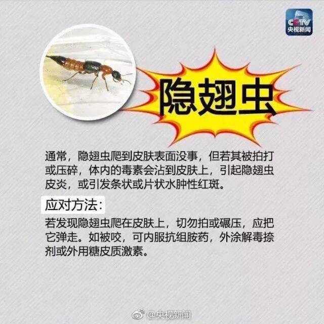 剧毒！有致命危险！已入侵12个省份，成都曾有人被咬，发现立即上报