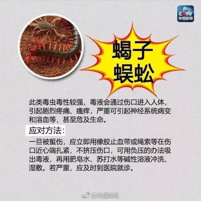 剧毒！有致命危险！已入侵12个省份，成都曾有人被咬，发现立即上报