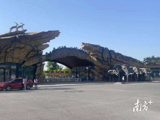 5月14日上午，阜阳野生动物园已经闭园。 南方+朱红鲜拍摄