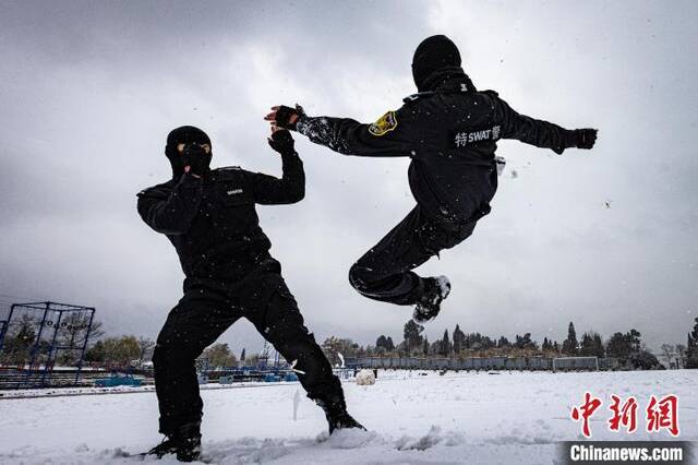 图为云豹突击队员在雪地上进行格斗训练。昆明警方供图