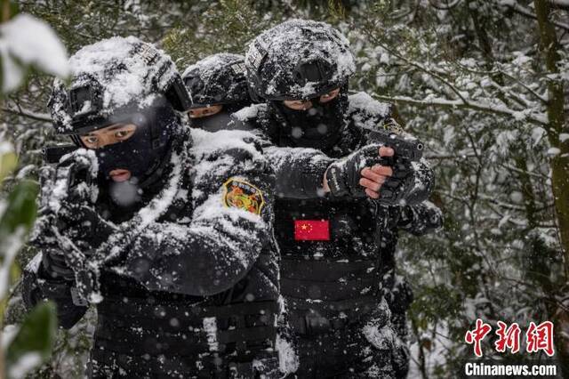 图为云豹突击队员在雪地上进行战术训练。昆明警方供图