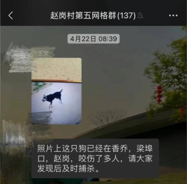 河南3岁男童被狗咬伤18天后身亡，咬人的狗仍去向不明，当地回应：警方已提级调查