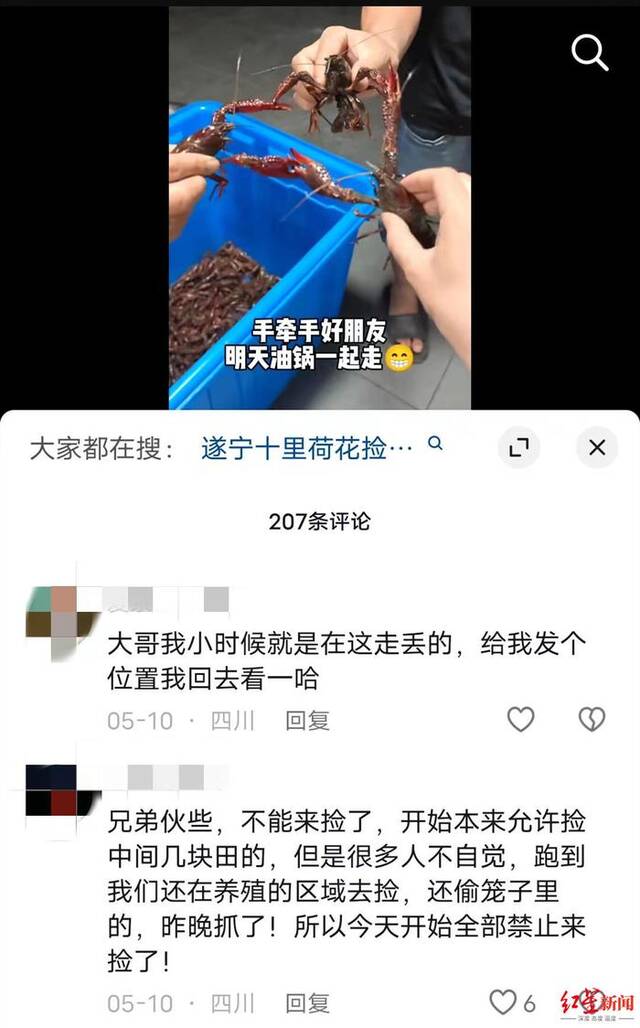 ▲姚洪龙在误传的抖音视频下解释“不能来捡了”。视频截图