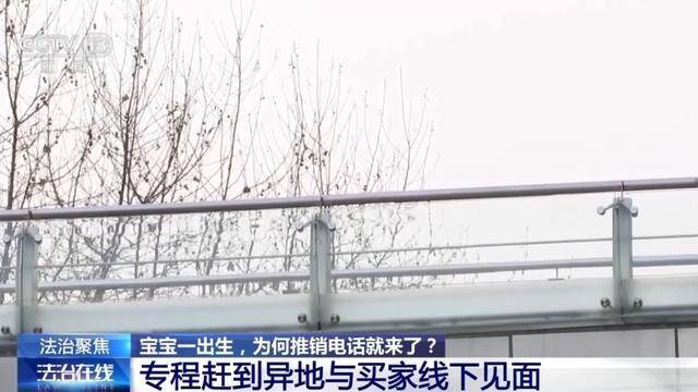 3万余条新生儿信息被倒卖，案件细节曝光