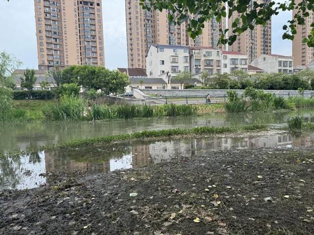 5月14日，湖北监利市城区，多位居住在周边的市民向记者反映，督察进驻前，旧林长河长期发臭，督察进驻前后上游开闸放水“洗河”，河流水质“临时”改善。本文图片除单独署名外均为澎湃新闻记者刁凡超摄