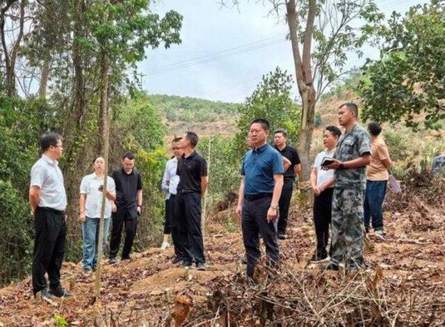 中央督察组点名云南临沧天然林被盗伐，省长到村子里实地察看整改情况