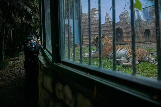 小城市的“过气”动物园，还该被挽留吗？