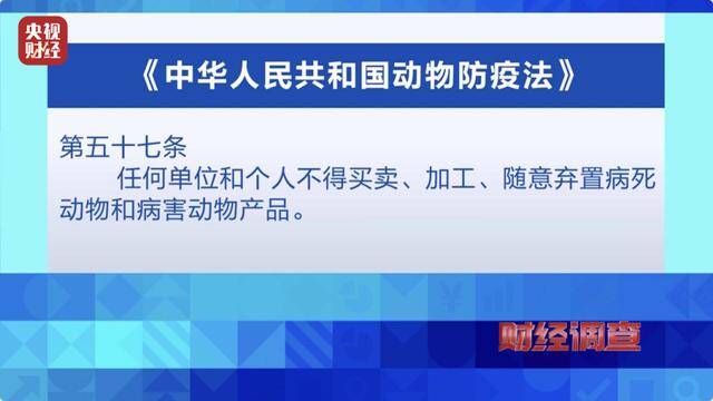 “星期宠”售卖乱象曝光！宠物体检、疫苗接种全是假的→