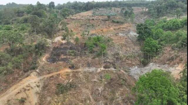 2024年4月17日，督察组暗查发现，临沧市临翔区蚂蚁堆乡大片天然林被毁。来源：生态环境部官网