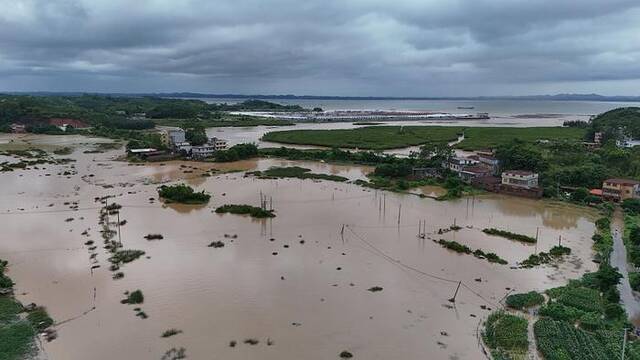 2024年5月19日，广西钦州港靠海村庄受暴雨影响。视觉中国图