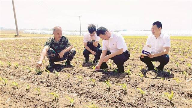 全力护航黑土地保护