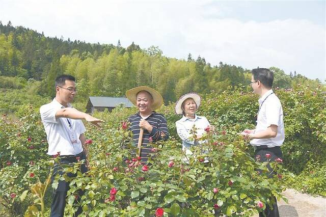 深度关注丨严防截留挪用 维护群众利益