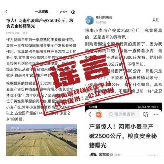 辟谣！网传“河南小麦单产破2500公斤”为不实信息，官方：没有突破1000公斤/亩的记录