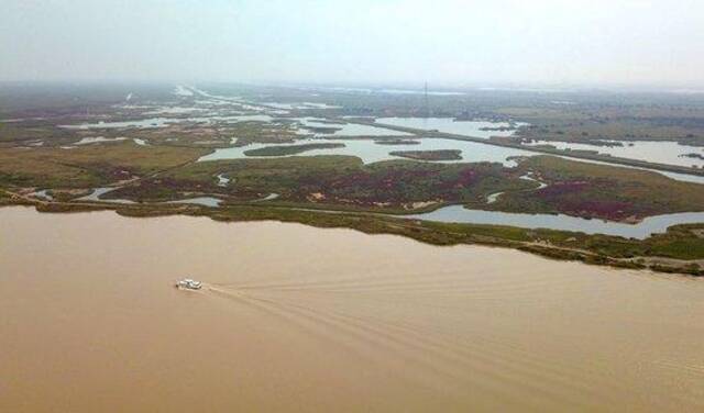 2023年10月12日在山东省东营市拍摄的黄河与黄河三角洲湿地（无人机照片）。新华社记者徐速绘摄