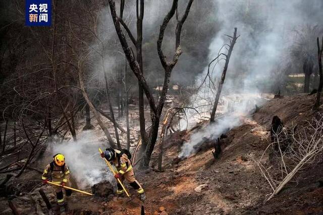 2人涉嫌引燃智利森林大火被捕 其中一人为消防员