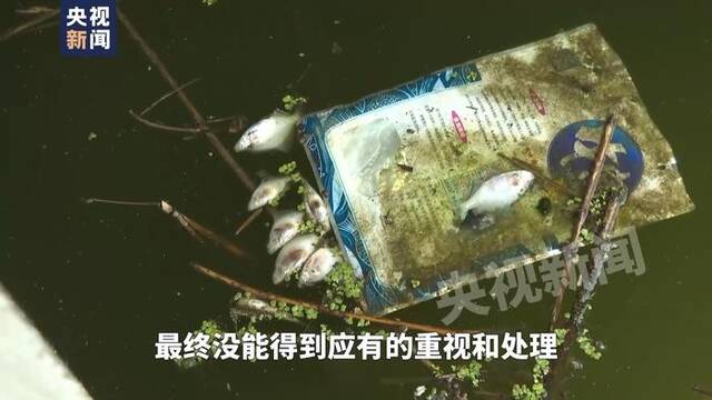 追踪滁河污染真相：“凭经验没问题”，开闸放水后鱼虾死亡恶臭熏天