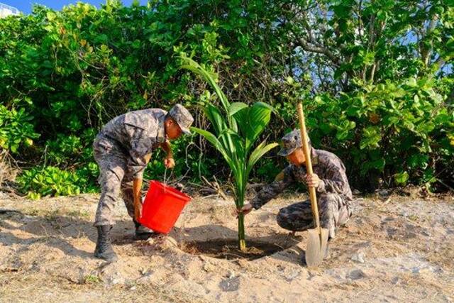 西沙东岛官兵在沙滩上种植椰子树。周思鸿/摄