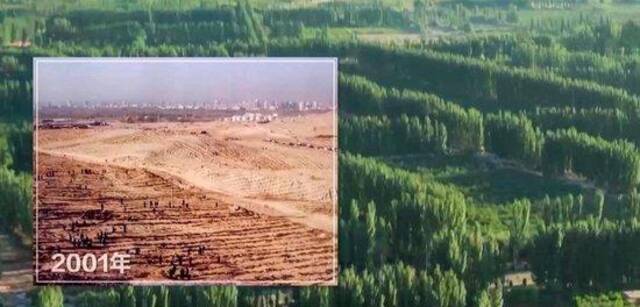 △初夏，新疆阿克苏柯柯牙镇，一排排杨树郁郁葱葱。曾经，这里一年有100天刮沙尘暴，一夜可摧毁万亩农田。