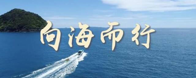 微视频｜向海而行