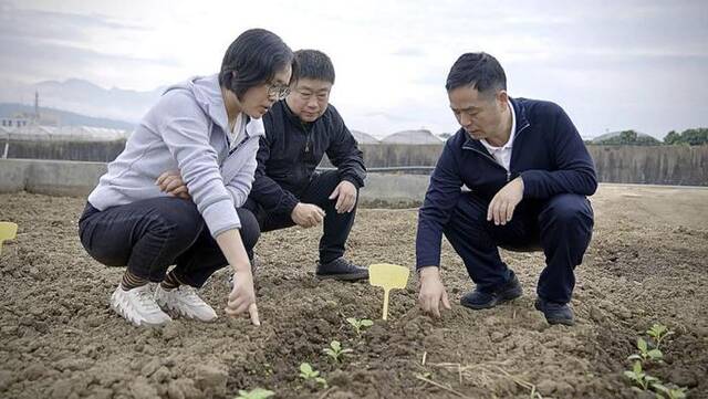 2023年12月，黄三文（右一）与张春芝研究员（左一）、程旭研究员（左二）在云南省德宏试验田合影观测马铃薯出芽情况。受访者供图