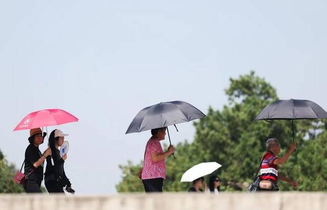 ▲6月11日北京，游客撑伞遮挡烈日。新京报记者王子诚摄