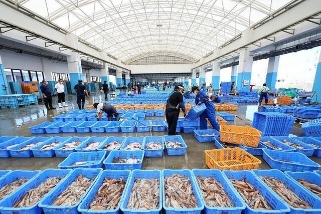 日媒：日本渔业从业者，14年少了10万人