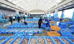 日媒：日本渔业从业者，14年少了10万人