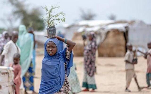 为防治荒漠化，当地协会和境内流离失所的女性在喀麦隆远北地区种植了两千棵树。©UNHCR/EugeneSibomana