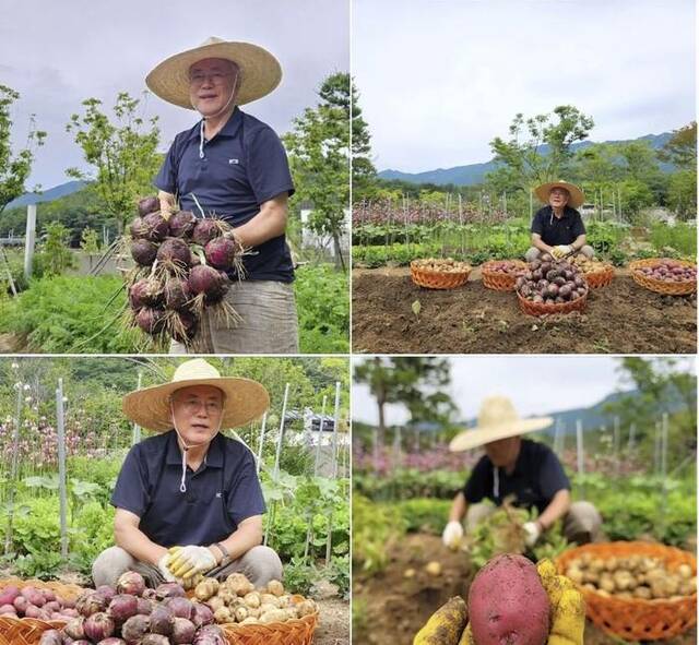 检方宣布对文在寅夫人启动调查同天，韩媒：文在寅晒劳作照片，“显得非常平静”