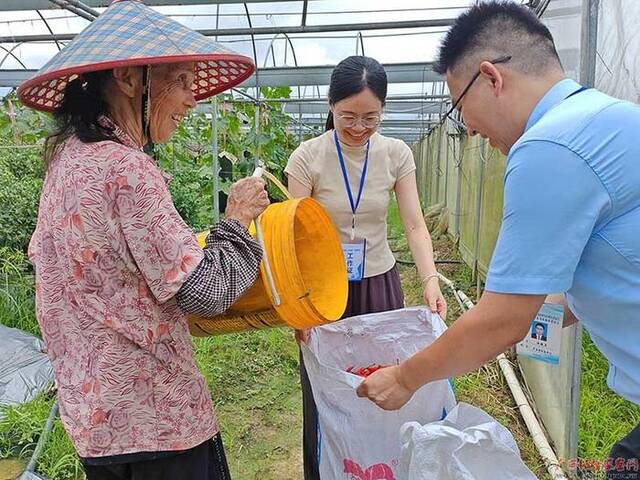 镜头丨夏收正忙时