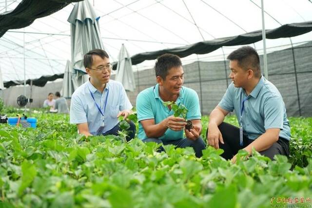 镜头丨夏收正忙时