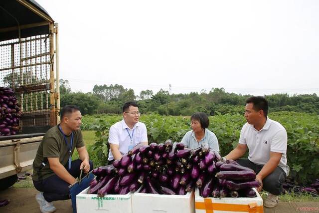 镜头丨夏收正忙时