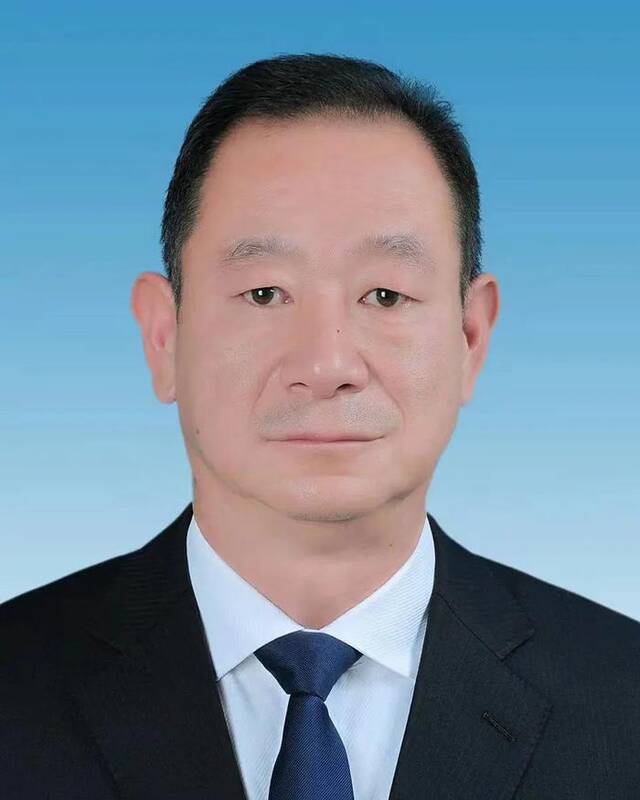 陈锐（图据保山市人民政府官网）