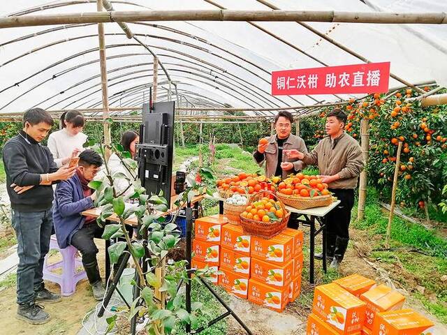 在和平乡本土网红的网络直播间里，助农直播火热进行。