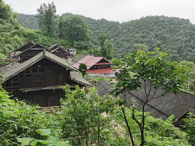 斗溪村龙塘组的村庄位于山腰上，距山下的搬迁安置一两公里。