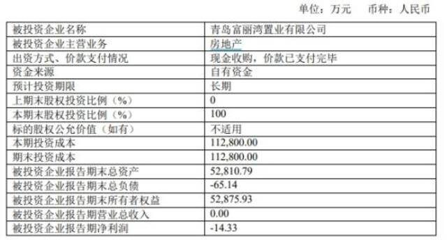 图源：青岛海洋投资集团公司债券2018年半年度报告。