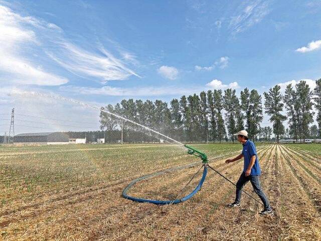 驻马店遂平中心农艺师为农户提供灌溉和苗情管护指导