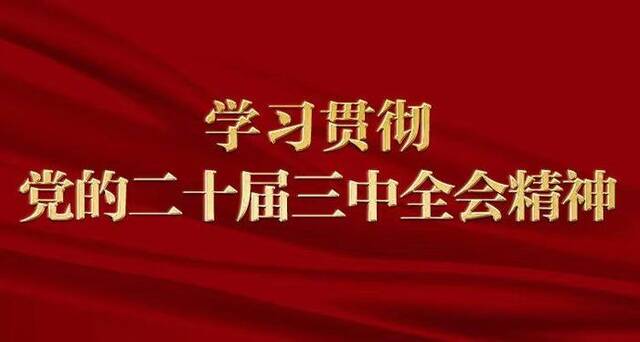 锐意改革进取，开辟中国式现代化广阔前景——与会同志谈党的二十届三中全会精神