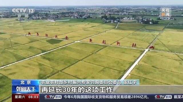 深化农村改革有哪些重点工作？专家解读