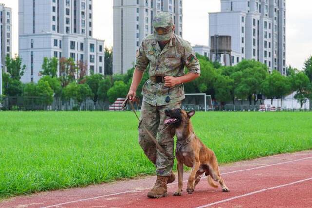 多图直击第72集团军某旅军犬骨干集训现场