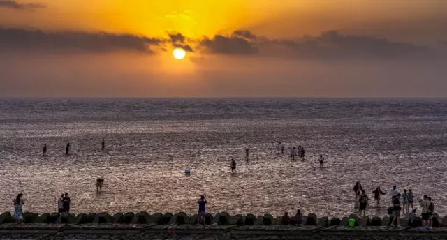 上海临港海边看日出太火：上千辆车挤得无法动弹，有人通宵等候……