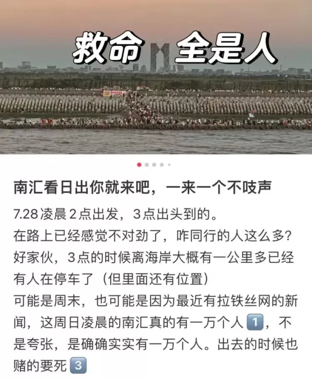 上海临港海边看日出太火：上千辆车挤得无法动弹，有人通宵等候……