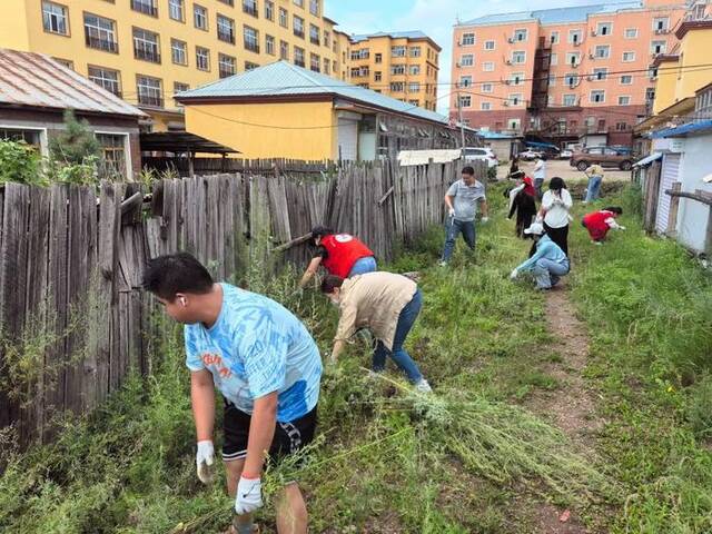 据额尔古纳市城市管理综合行政执法局相关负责人介绍，从6月初至今，额尔古纳市已清理蒿草30余万平方米，近5300吨。微信公众号“额尔古纳融媒”图