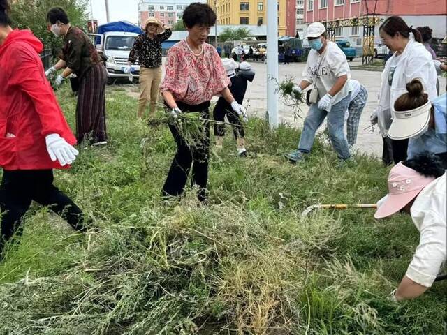 额尔古纳市发布《关于开展市区清理蒿草兑换奖金的通知》，鼓励市民主动清除蒿草并送到额尔古纳市垃圾装运站，就可按照蒿草重量兑换奖金。微信公众号“额尔古纳融媒”图