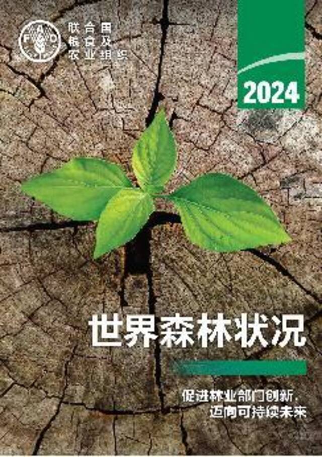 《2024年世界森林状况》报告封面。联合国粮农组织供图